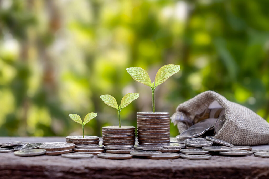 Planting and developing trees on piles of coins and green backgr Plumbing
